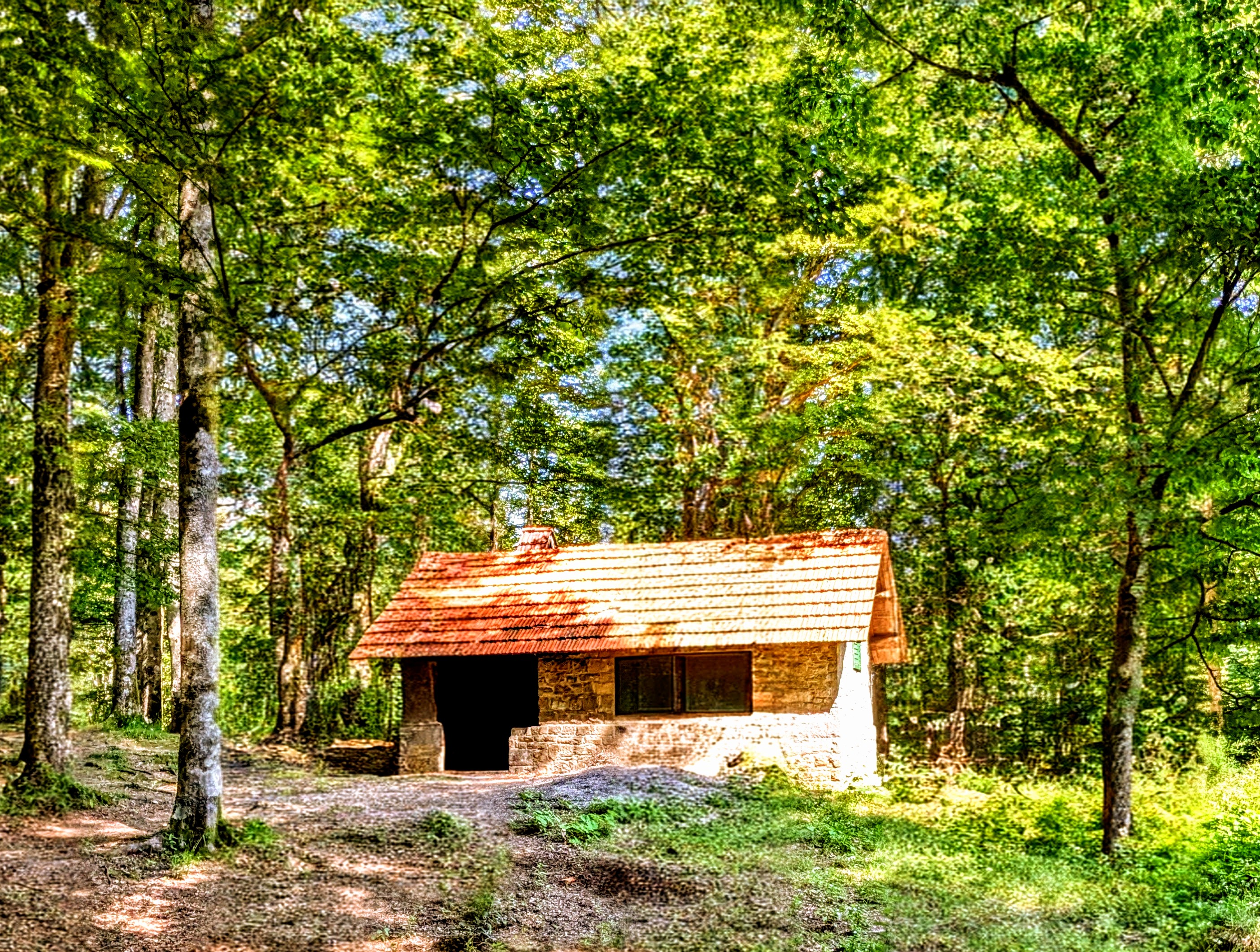 Photo
